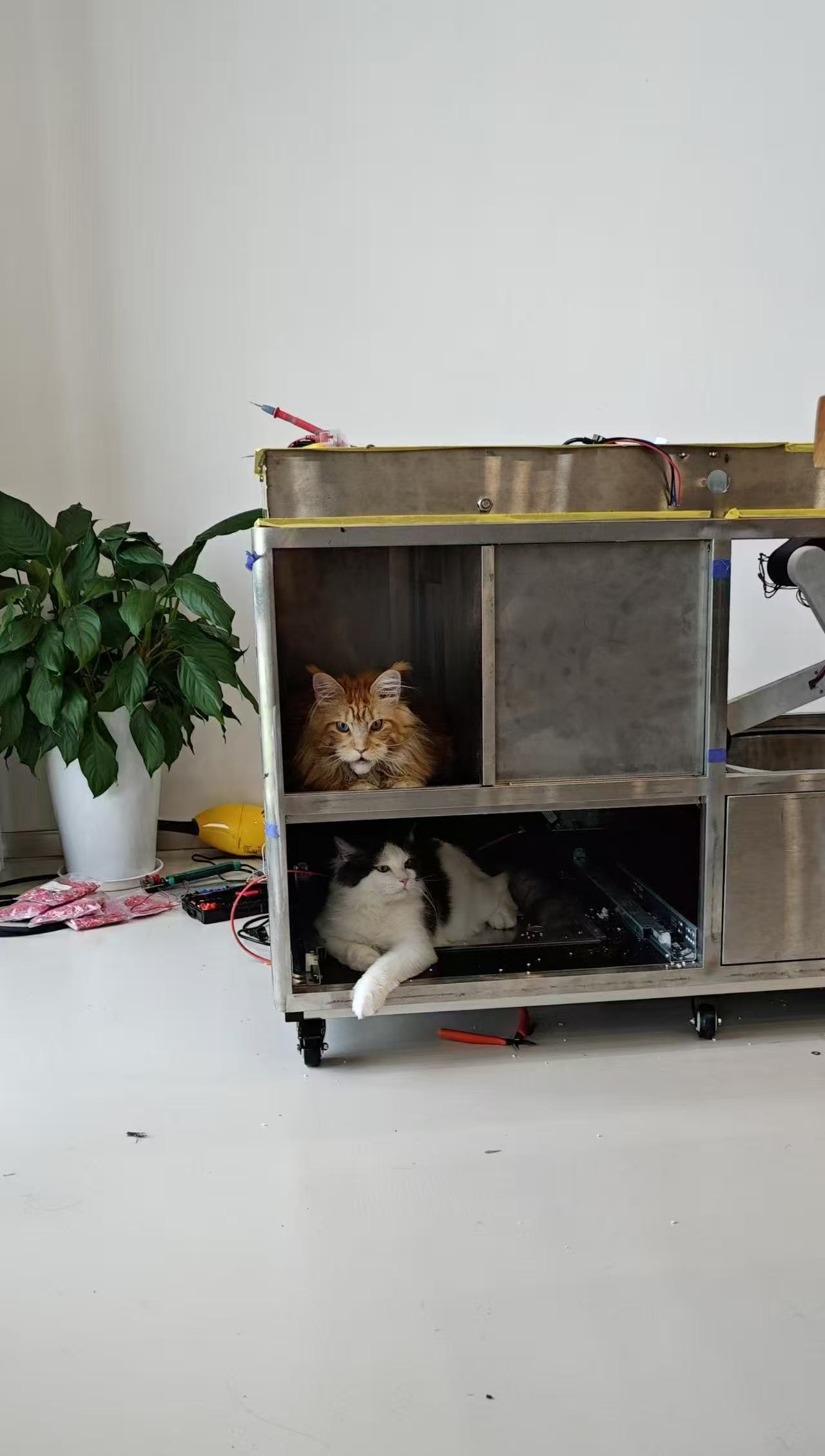 Two cats lounging inside the stainless steel prototype